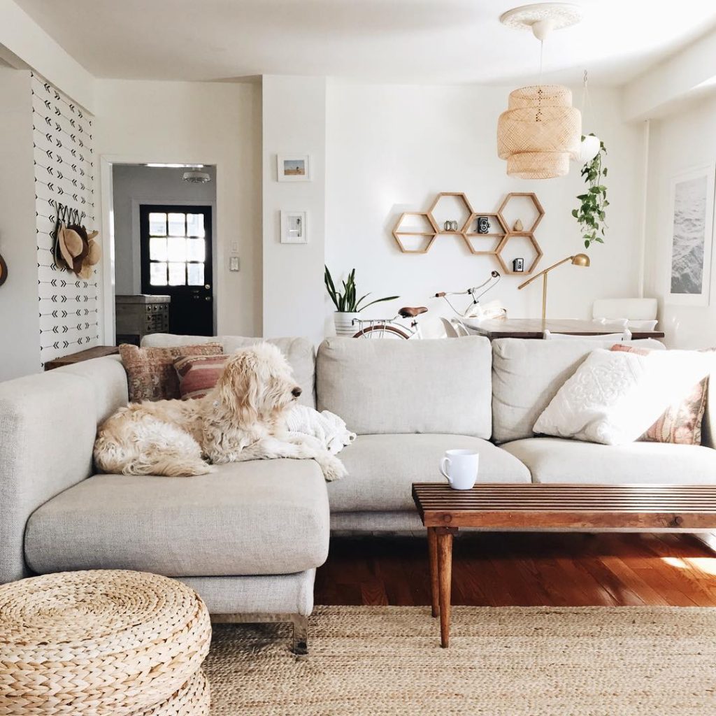 Modern Living Room with Dog