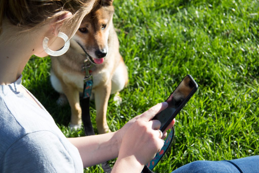 Liv Rent App and Shiba in Park
