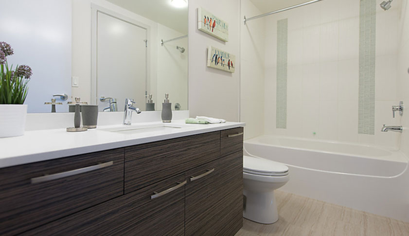 Residences at Hotel Blu Apartment for Rent Bathroom